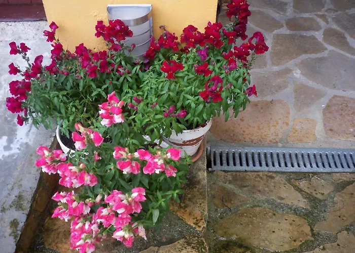Apartamentos Rurales La Casa Vieja De Silio